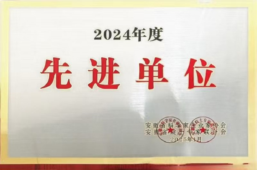 2024年度先进单位证书